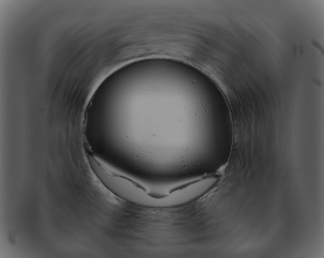 X0000092311532200710051229