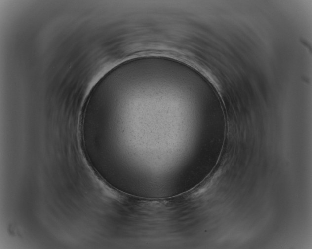 X0000092311533200710051229