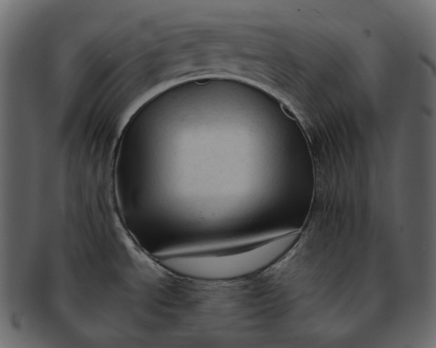 X0000092311534200710051229