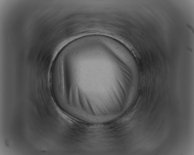 X0000092311535200710051229