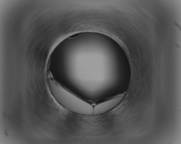 X0000092311536200710051229