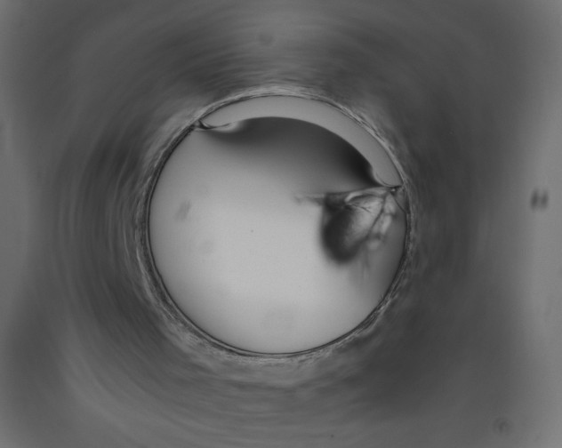 X0000092310001200710121508