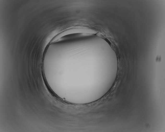 X0000092310003200710121508