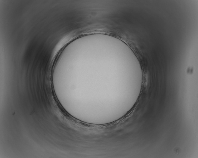 X0000092310004200710121508