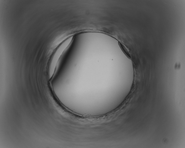X0000092310005200710121508
