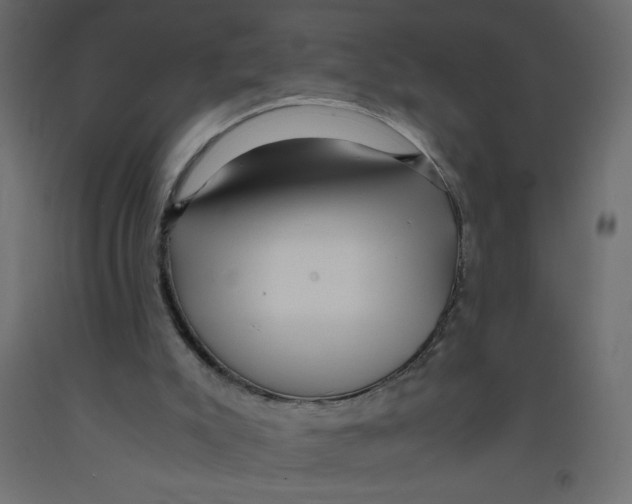 X0000092310007200710121507
