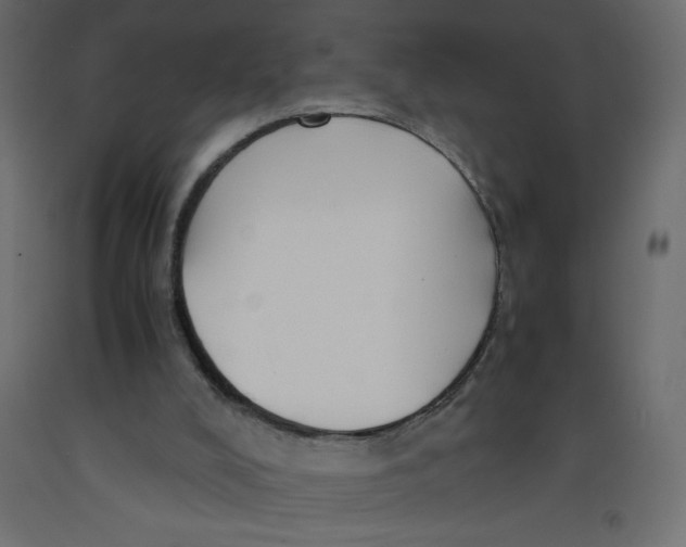 X0000092310008200710121507
