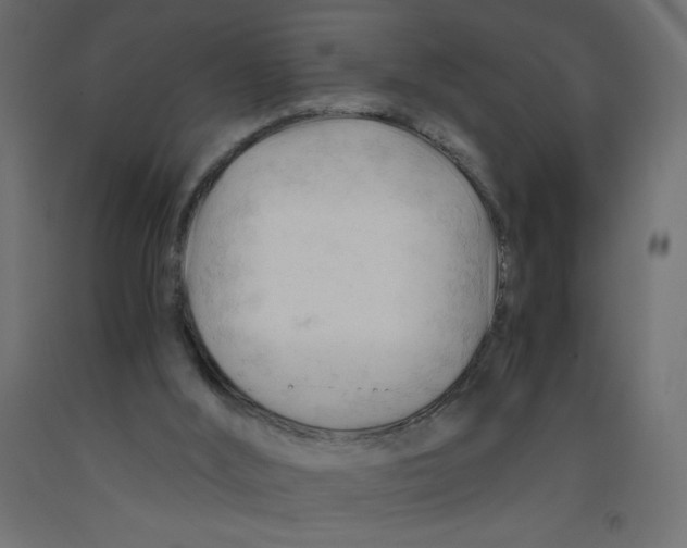 X0000092310012200710121507