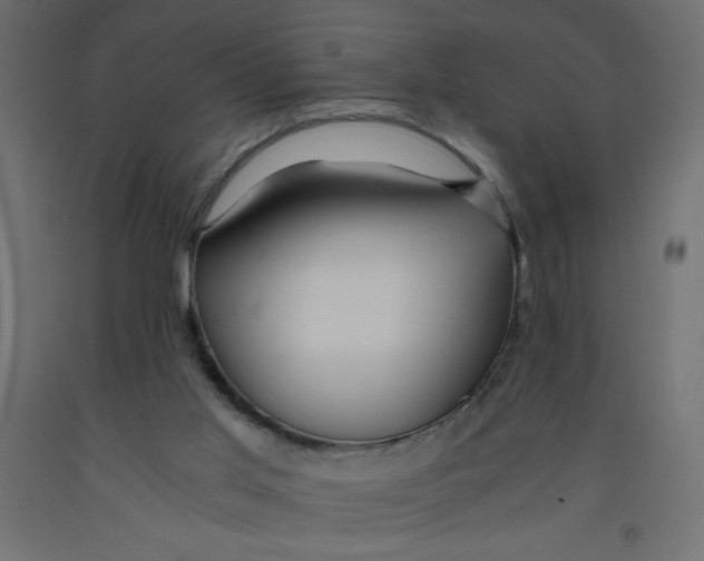 X0000092310013200710121507
