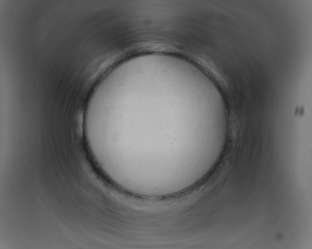 X0000092310014200710121507