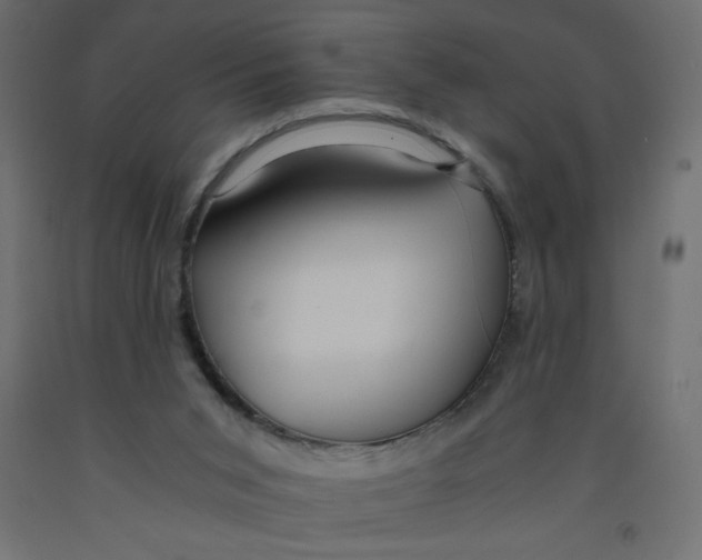 X0000092310015200710121507