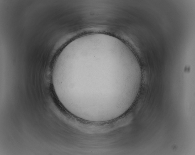 X0000092310016200710121507