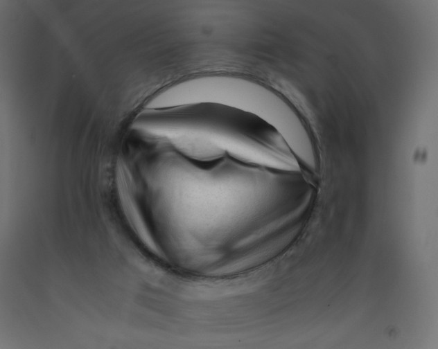 X0000092310017200710121507