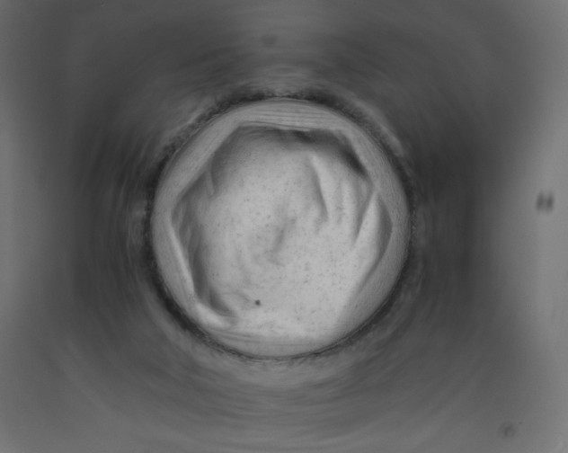 X0000092310018200710121507