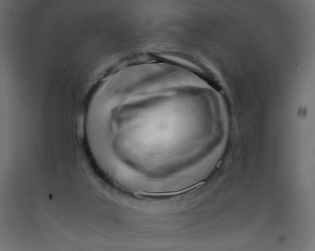 X0000092310019200710121507