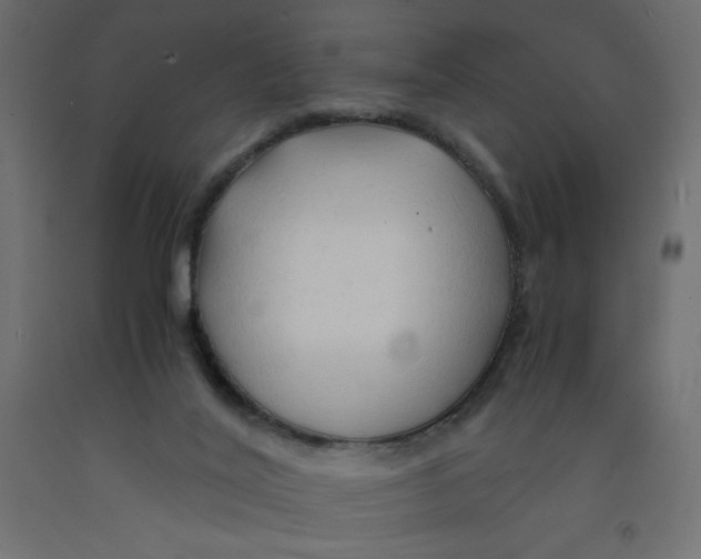 X0000092310020200710121507