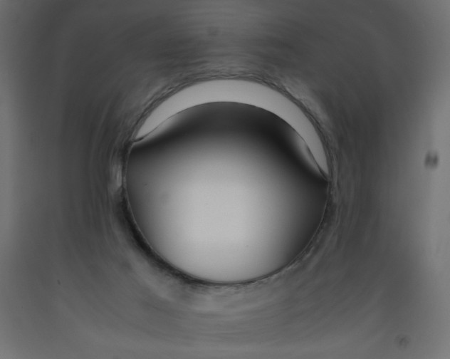 X0000092310021200710121507