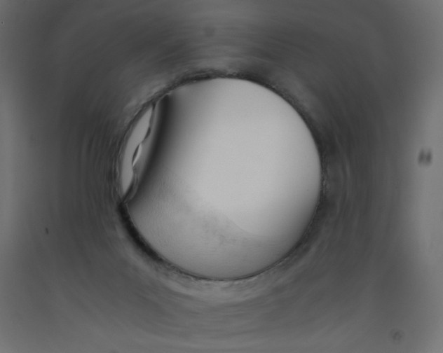 X0000092310023200710121507