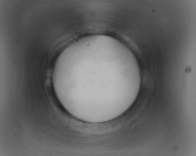 X0000092310026200710121507