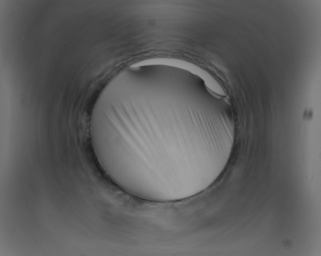 X0000092310029200710121507