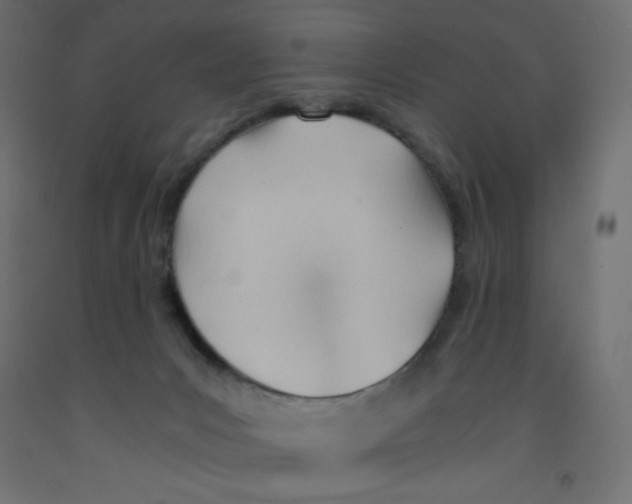 X0000092310031200710121507