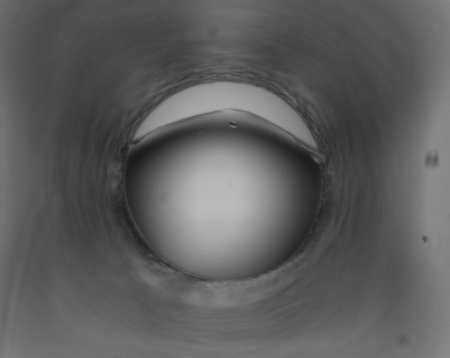 X0000092310033200710121507