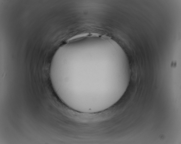 X0000092310034200710121507