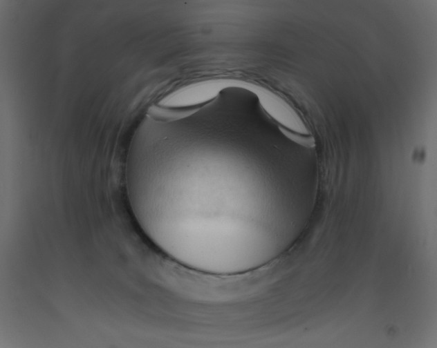 X0000092310035200710121507