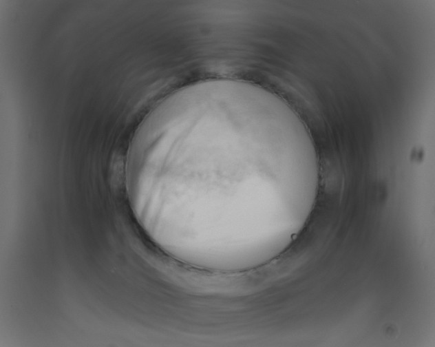 X0000092310036200710121507
