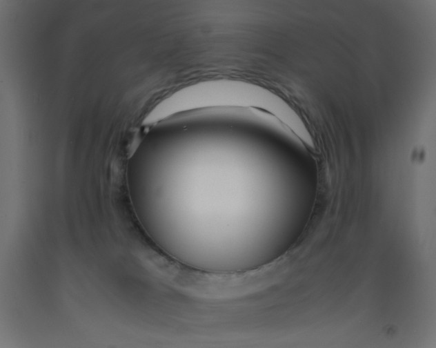 X0000092310037200710121507