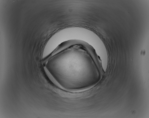X0000092310039200710121507