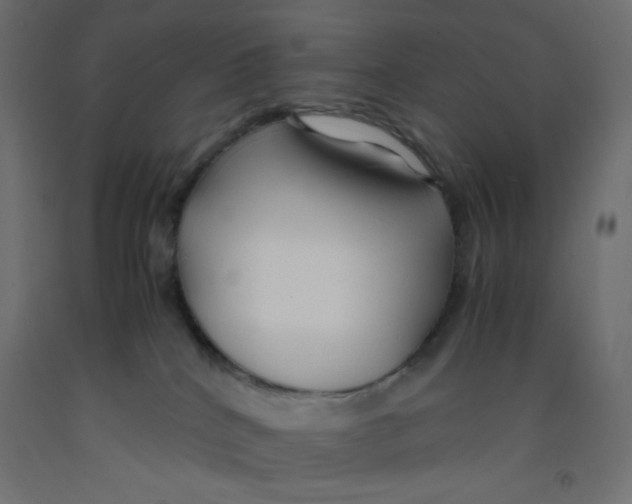 X0000092310040200710121507