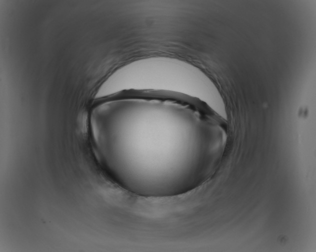 X0000092310041200710121507