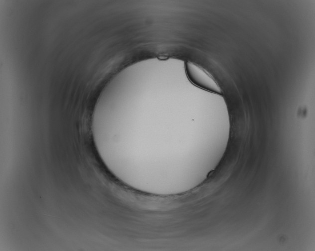 X0000092310044200710121507
