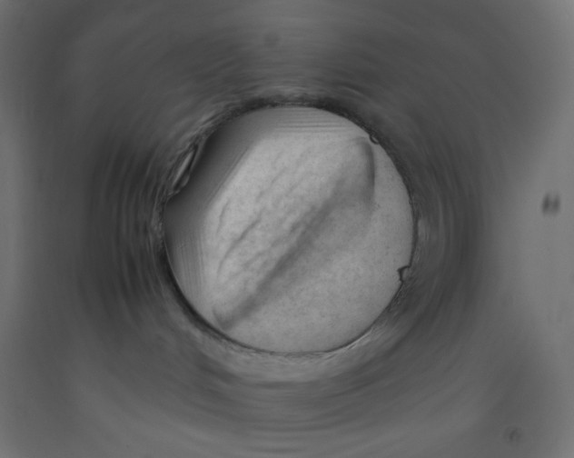 X0000092310048200710121507