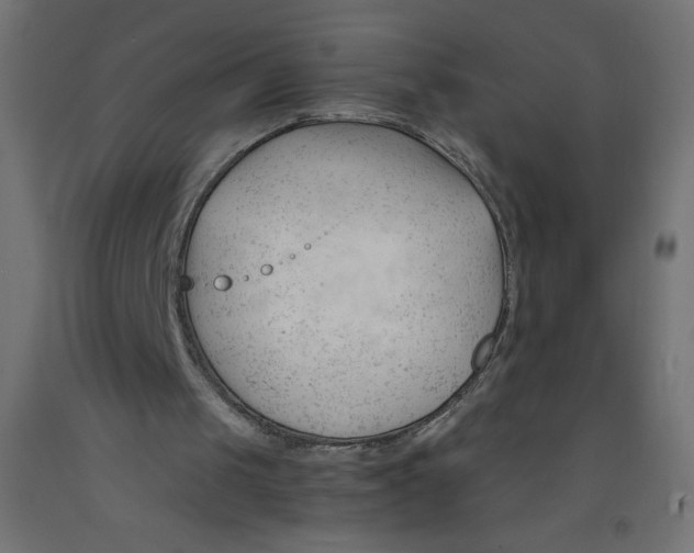 X0000092310049200710121506