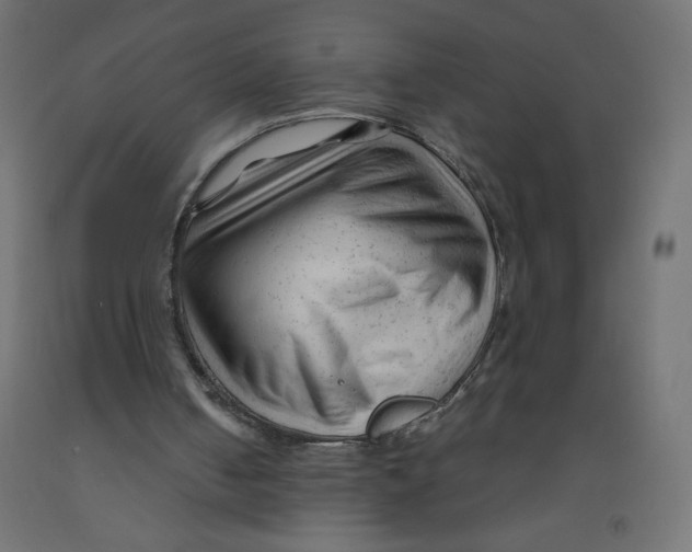 X0000092310050200710121506