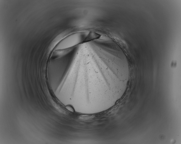 X0000092310051200710121506