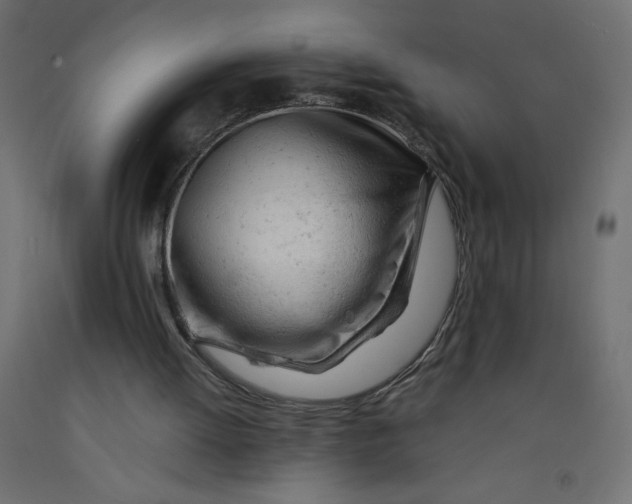 X0000092310052200710121506