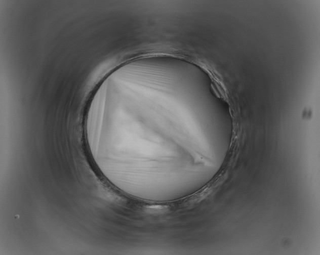 X0000092310053200710121506