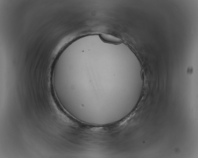 X0000092310054200710121506