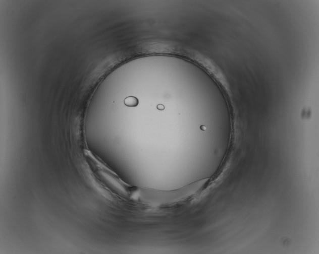 X0000092310057200710121506