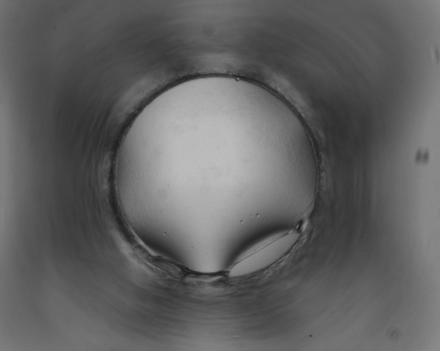 X0000092310058200710121506