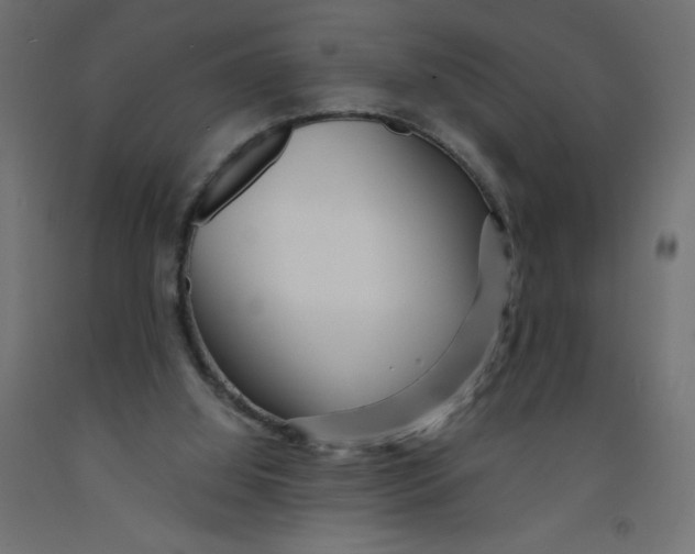 X0000092310060200710121506
