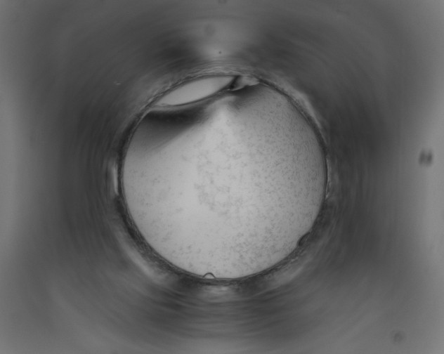 X0000092310061200710121506