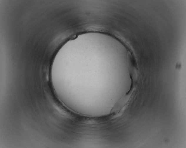 X0000092310062200710121506