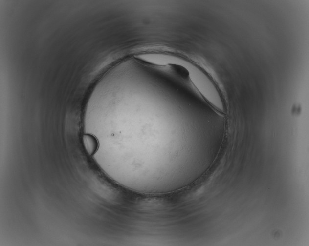 X0000092310063200710121506