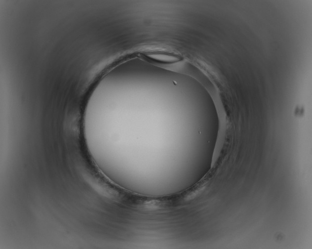 X0000092310064200710121506