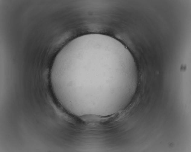 X0000092310066200710121506