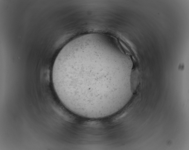 X0000092310067200710121506